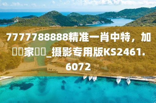 7777788888精準(zhǔn)一肖中特，加強(qiáng)專家評(píng)論_攝影專用版KS2461.6072