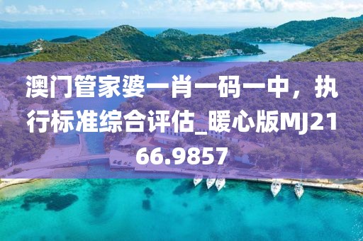 澳門管家婆一肖一碼一中，執(zhí)行標(biāo)準(zhǔn)綜合評(píng)估_暖心版MJ2166.9857