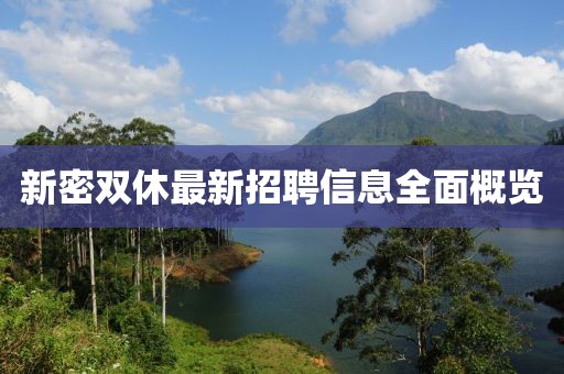新密雙休最新招聘信息全面概覽