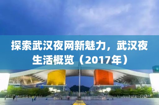 探索武漢夜網(wǎng)新魅力，武漢夜生活概覽（2017年）