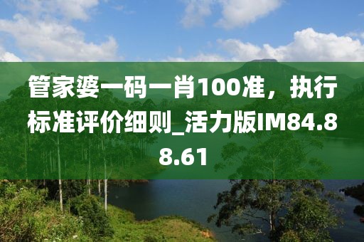 管家婆一碼一肖100準，執(zhí)行標準評價細則_活力版IM84.88.61
