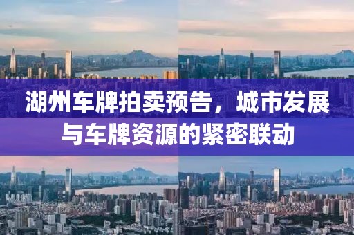 湖州車牌拍賣預(yù)告，城市發(fā)展與車牌資源的緊密聯(lián)動