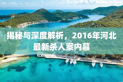 揭秘與深度解析，2016年河北最新殺人案內(nèi)幕