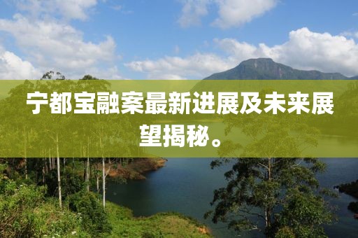寧都寶融案最新進(jìn)展及未來展望揭秘。