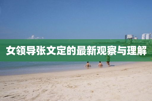 女領(lǐng)導(dǎo)張文定的最新觀察與理解