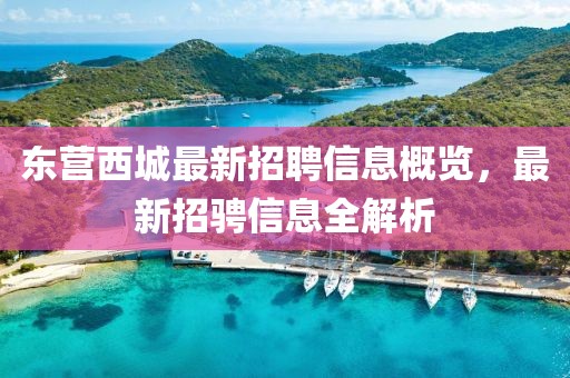 東營(yíng)西城最新招聘信息概覽，最新招騁信息全解析
