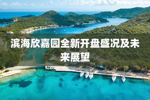 濱海欣嘉園全新開(kāi)盤(pán)盛況及未來(lái)展望