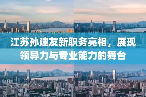 江蘇孫建友新職務(wù)亮相，展現(xiàn)領(lǐng)導(dǎo)力與專業(yè)能力的舞臺(tái)