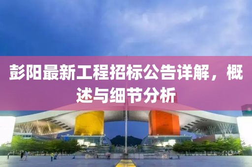 彭陽最新工程招標公告詳解，概述與細節(jié)分析
