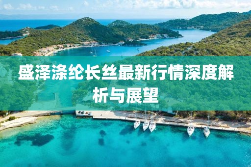盛澤滌綸長絲最新行情深度解析與展望