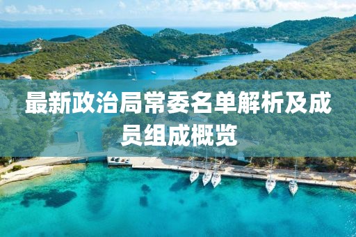 最新政治局常委名單解析及成員組成概覽