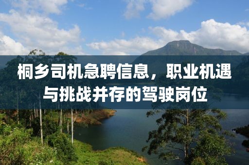桐鄉(xiāng)司機(jī)急聘信息，職業(yè)機(jī)遇與挑戰(zhàn)并存的駕駛崗位