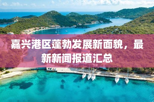 嘉興港區(qū)蓬勃發(fā)展新面貌，最新新聞報(bào)道匯總