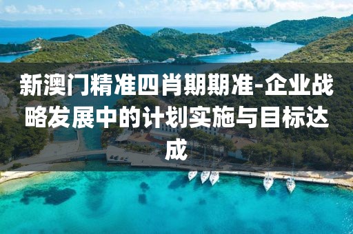 新澳門(mén)精準(zhǔn)四肖期期準(zhǔn)-企業(yè)戰(zhàn)略發(fā)展中的計(jì)劃實(shí)施與目標(biāo)達(dá)成