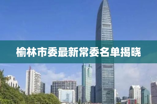 榆林市委最新常委名單揭曉