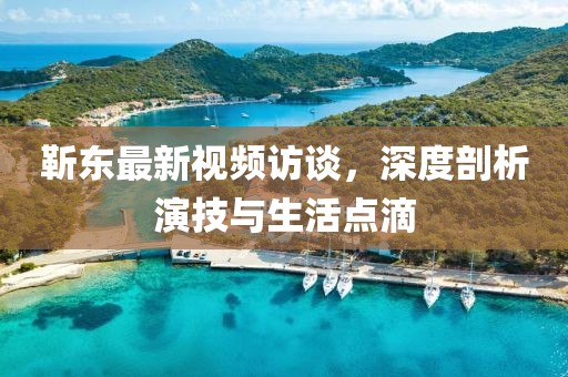 靳東最新視頻訪談，深度剖析演技與生活點(diǎn)滴