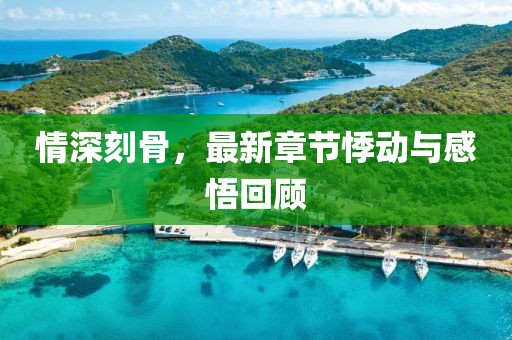 情深刻骨，最新章節(jié)悸動與感悟回顧