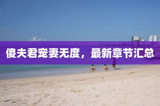 傻夫君寵妻無(wú)度，最新章節(jié)匯總