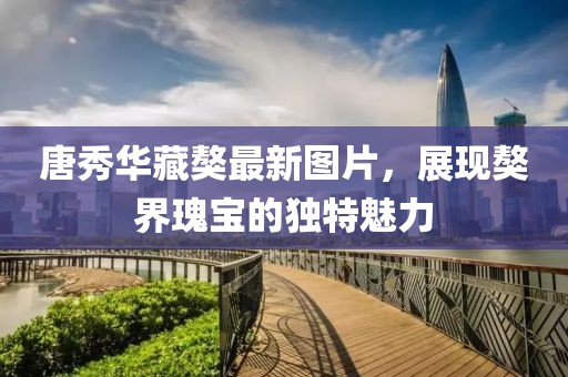 唐秀華藏獒最新圖片，展現(xiàn)獒界瑰寶的獨(dú)特魅力