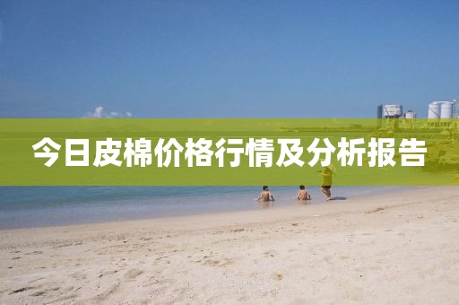 今日皮棉價格行情及分析報告