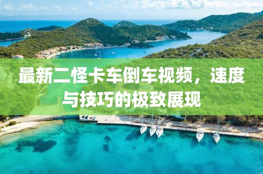 最新二怪卡車倒車視頻，速度與技巧的極致展現(xiàn)