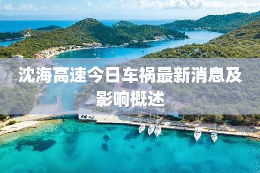 沈海高速今日車禍最新消息及影響概述