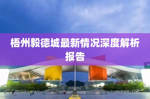 梧州毅德城最新情況深度解析報告