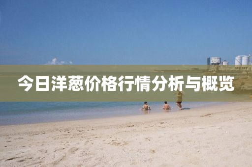 今日洋蔥價(jià)格行情分析與概覽