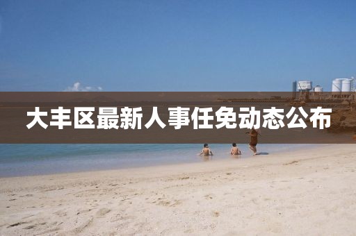 大豐區(qū)最新人事任免動(dòng)態(tài)公布