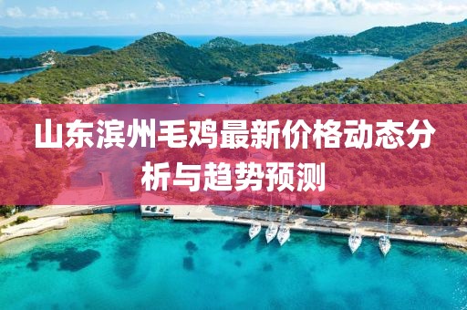 山東濱州毛雞最新價(jià)格動(dòng)態(tài)分析與趨勢(shì)預(yù)測(cè)