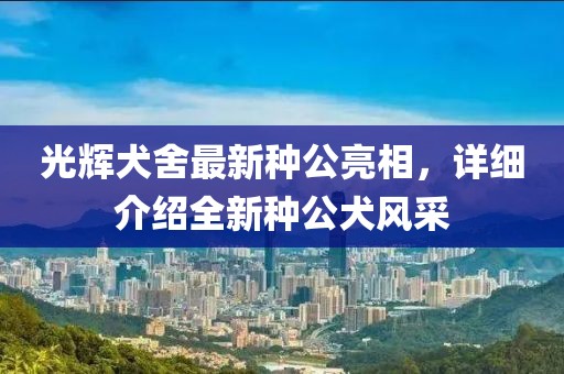 維的美首頁 第322頁