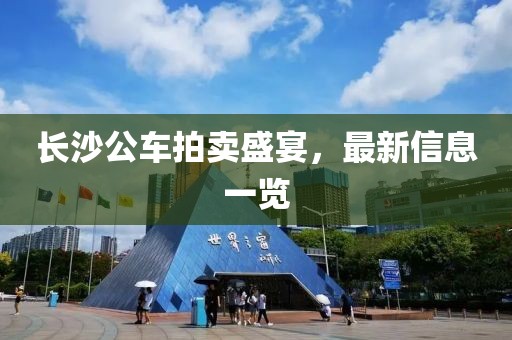 長沙公車拍賣盛宴，最新信息一覽