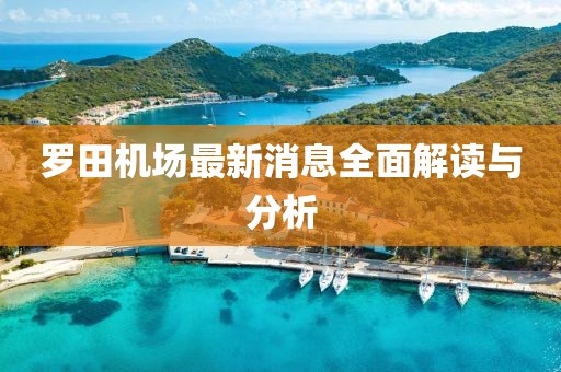 羅田機場最新消息全面解讀與分析