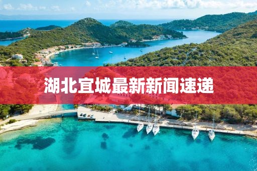 湖北宜城最新新聞速遞