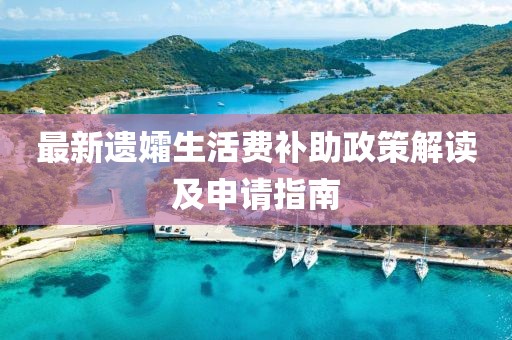 最新遺孀生活費補助政策解讀及申請指南