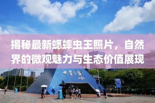 揭秘最新蟋蟀蟲王照片，自然界的微觀魅力與生態(tài)價(jià)值展現(xiàn)