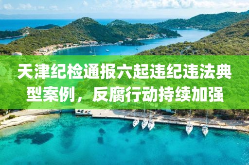 天津紀(jì)檢通報(bào)六起違紀(jì)違法典型案例，反腐行動持續(xù)加強(qiáng)