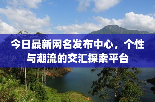今日最新網(wǎng)名發(fā)布中心，個性與潮流的交匯探索平臺