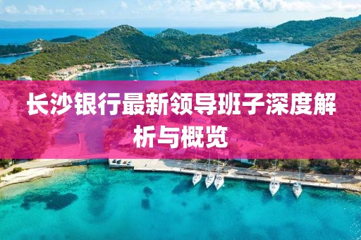 長沙銀行最新領(lǐng)導(dǎo)班子深度解析與概覽