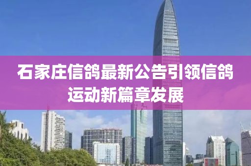 石家莊信鴿最新公告引領信鴿運動新篇章發(fā)展