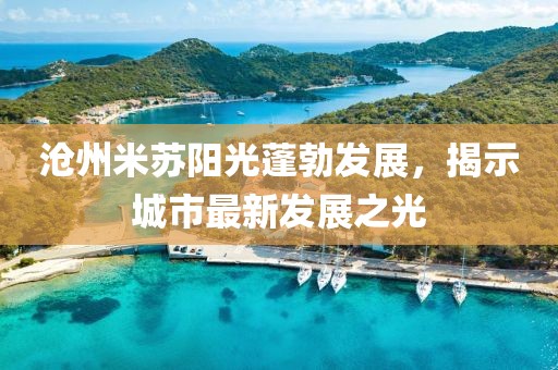 滄州米蘇陽光蓬勃發(fā)展，揭示城市最新發(fā)展之光