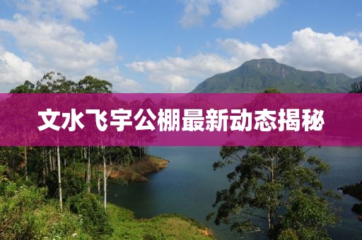 文水飛宇公棚最新動(dòng)態(tài)揭秘