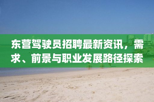 東營(yíng)駕駛員招聘最新資訊，需求、前景與職業(yè)發(fā)展路徑探索