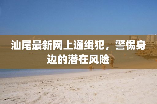 汕尾最新網(wǎng)上通緝犯，警惕身邊的潛在風(fēng)險