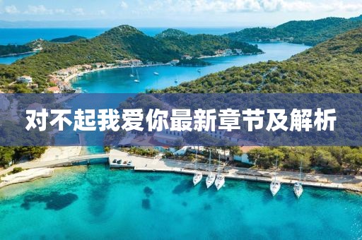 對不起我愛你最新章節(jié)及解析