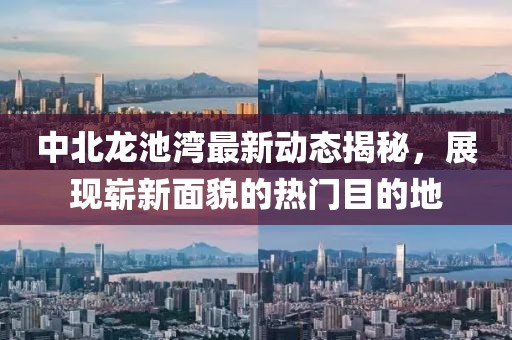2025年2月 第313頁