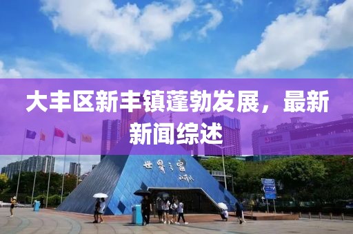 大豐區(qū)新豐鎮(zhèn)蓬勃發(fā)展，最新新聞綜述