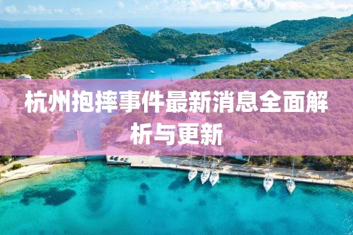 杭州抱摔事件最新消息全面解析與更新