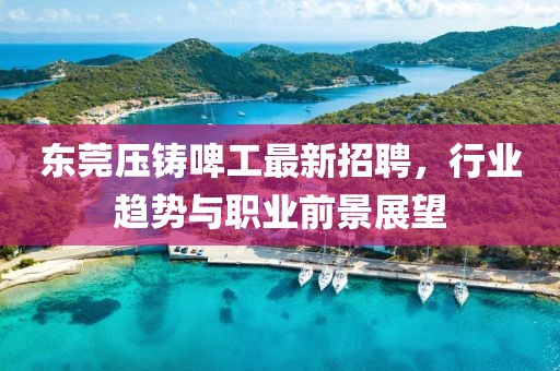 東莞壓鑄啤工最新招聘，行業(yè)趨勢(shì)與職業(yè)前景展望