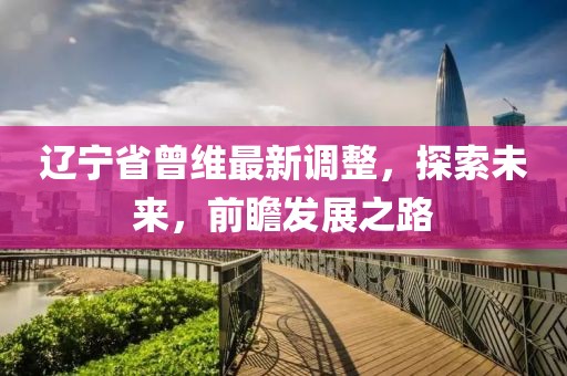 遼寧省曾維最新調(diào)整，探索未來，前瞻發(fā)展之路